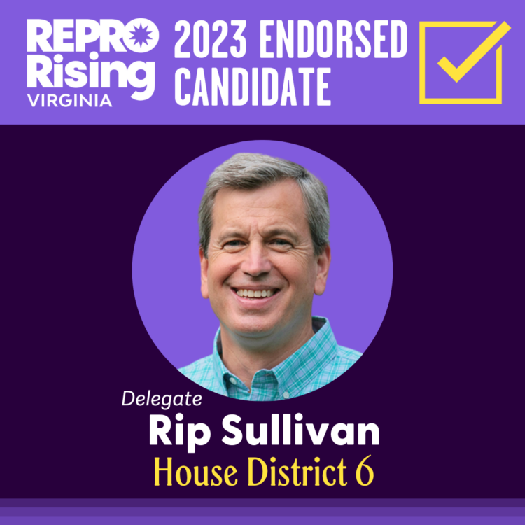 Delegate Rip Sullivan